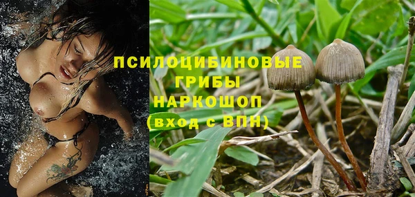 ПСИЛОЦИБИНОВЫЕ ГРИБЫ Баксан