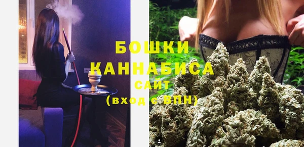 ПСИЛОЦИБИНОВЫЕ ГРИБЫ Баксан